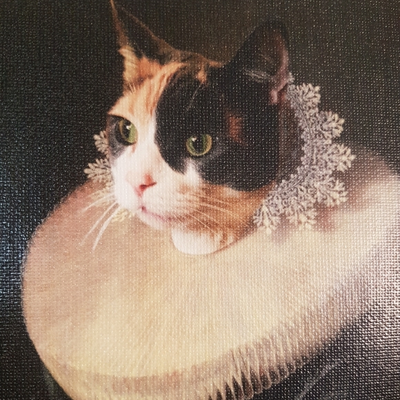 Meet your Posher, Sare (they/them) - Picture 1 of 1